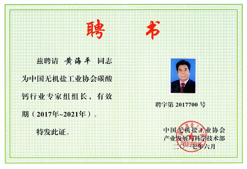 專家組組長(zhǎng)2017-2021